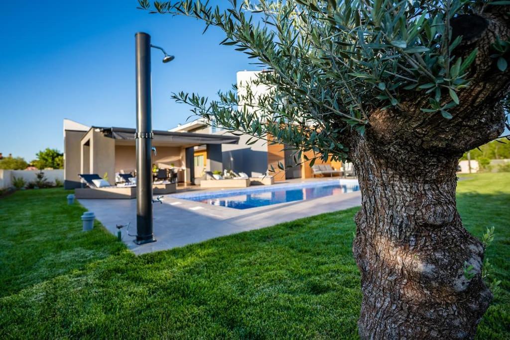 Villa Lila - Sunshine Marčana Kültér fotó